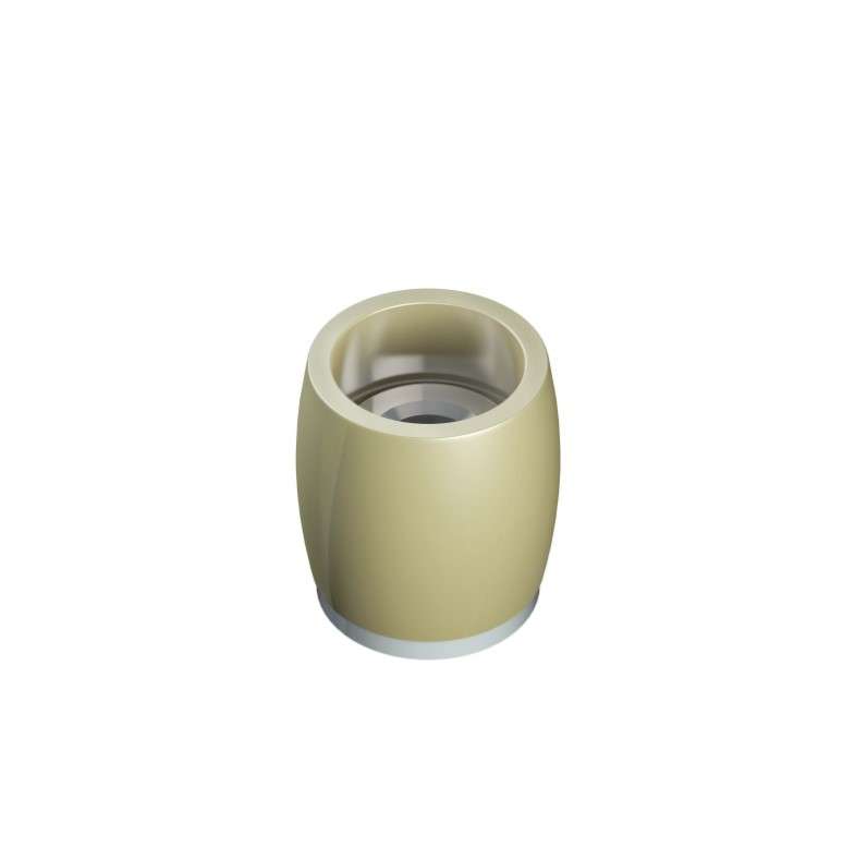 Series 250 | 25mm Diameter | Brass | Bottom Guide Roller | 250-1298